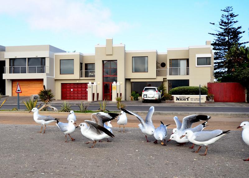 Kleines Nest Bed And Breakfast Walvis Bay Dış mekan fotoğraf